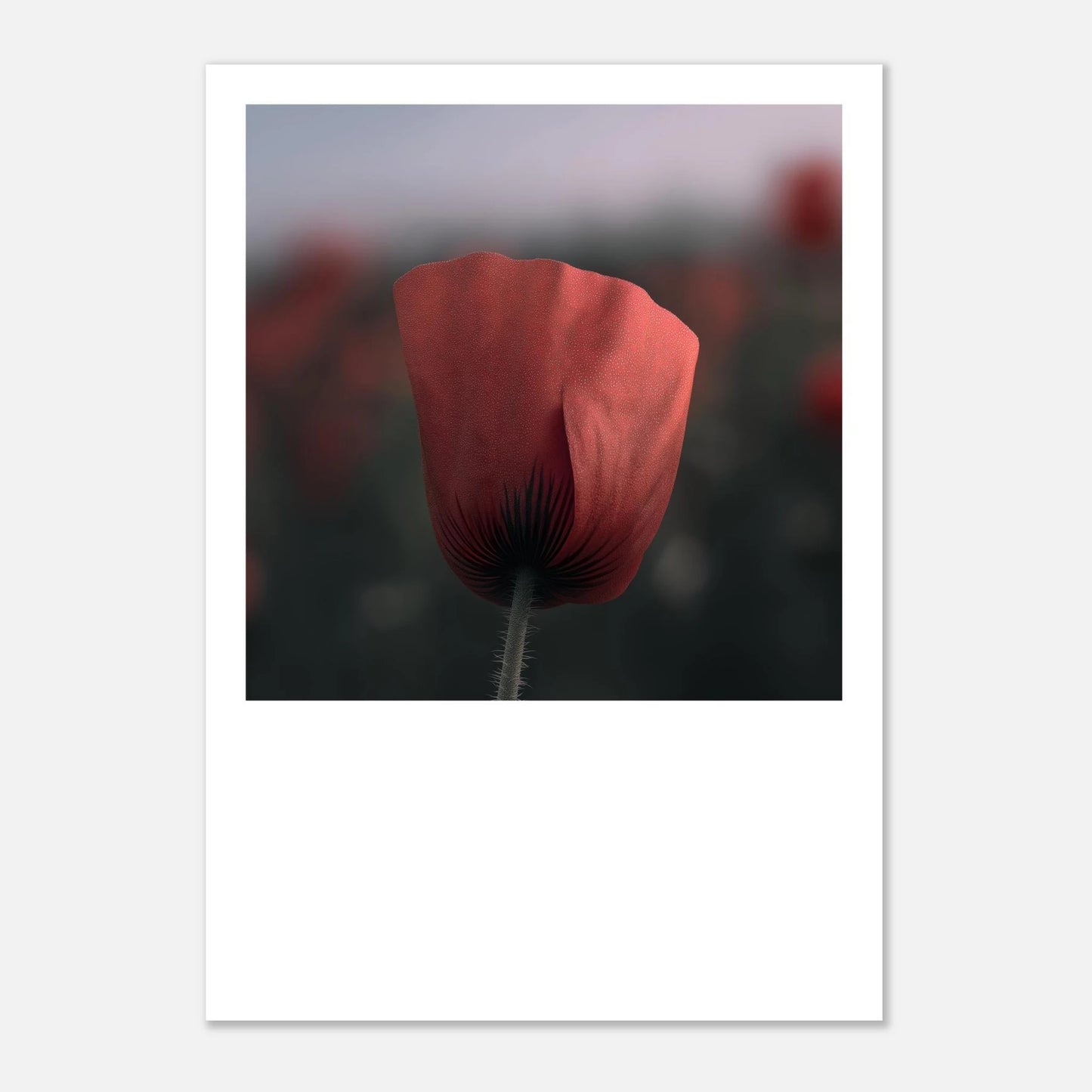 9d733056-62d0-438e-8493-3530bc08ac62