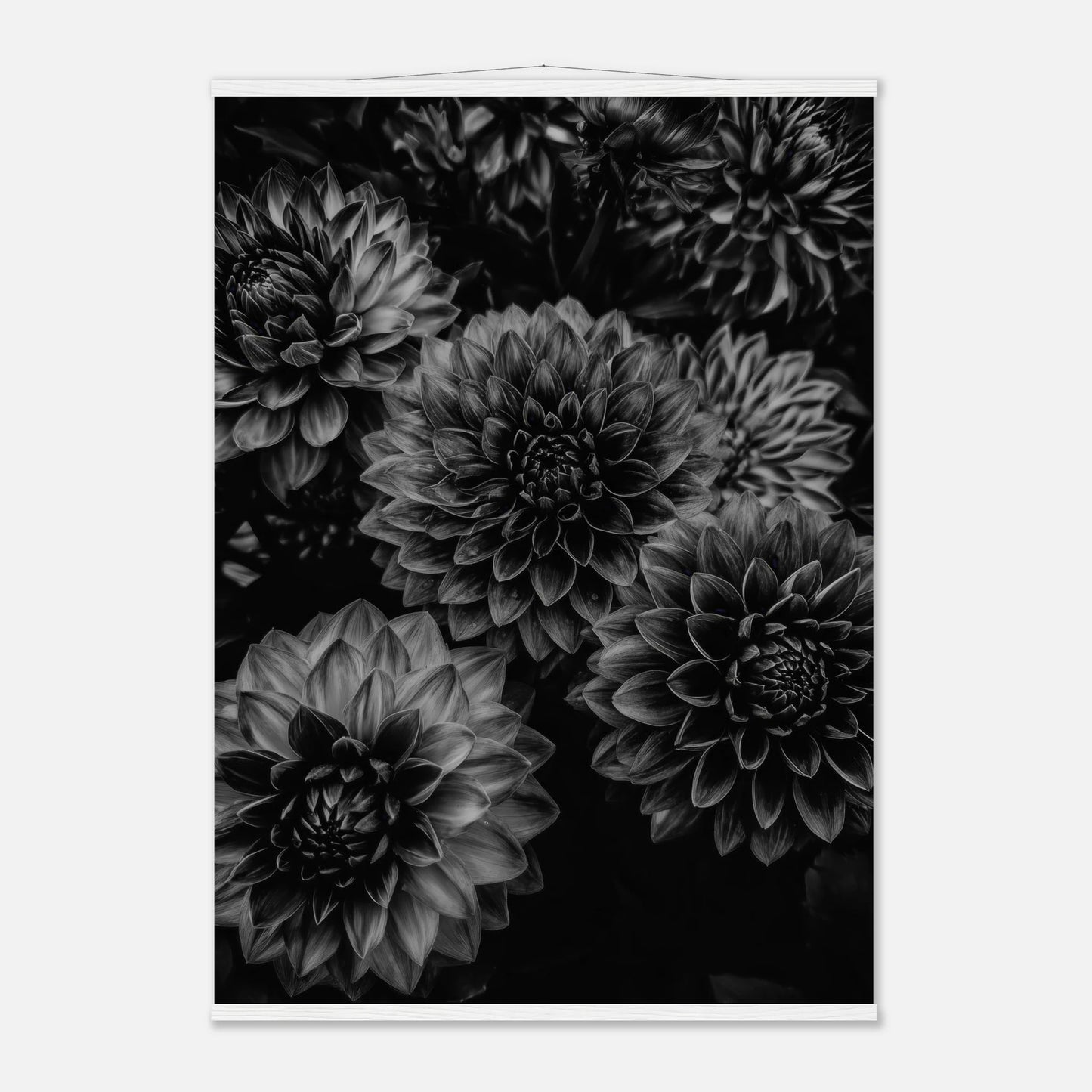 9ee325b6-9f7d-461c-a01c-0a8831b0e229