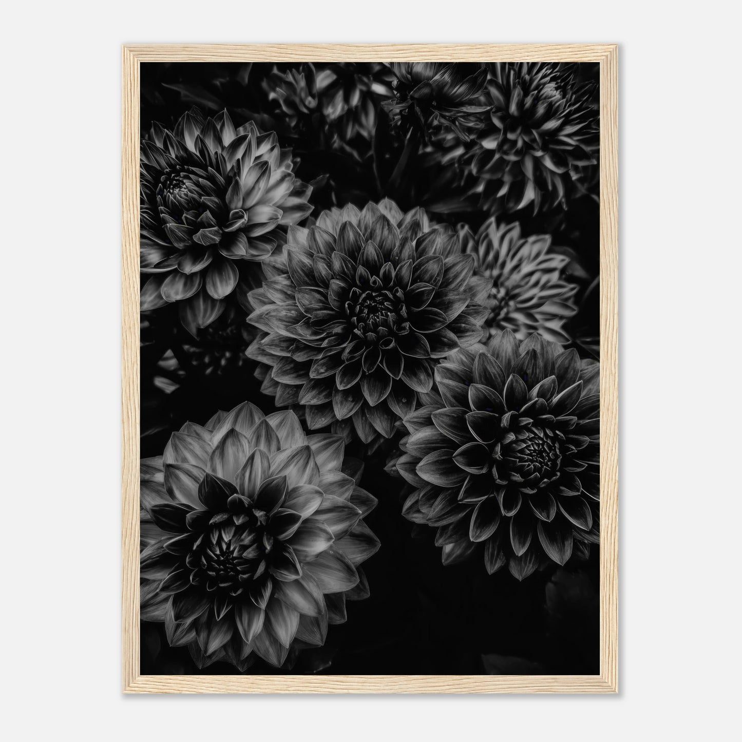 a206bf02-98c5-483c-b95b-7dc28e99a476