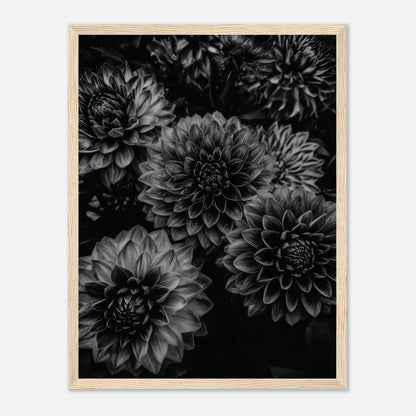 a206bf02-98c5-483c-b95b-7dc28e99a476