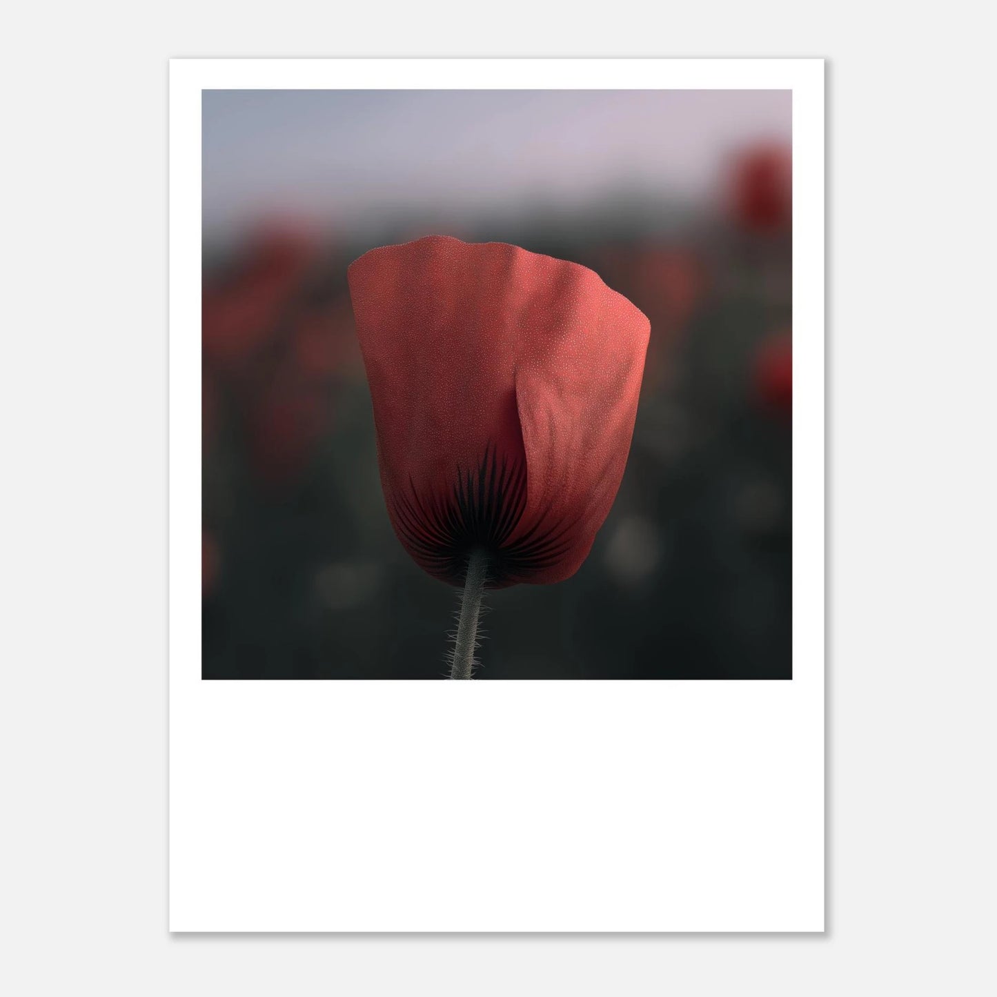 a35dd41d-e2d5-4f53-8c6a-eb29080818e6