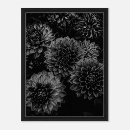 a6d243ee-f3ac-4e08-9b28-bbc8246010d6