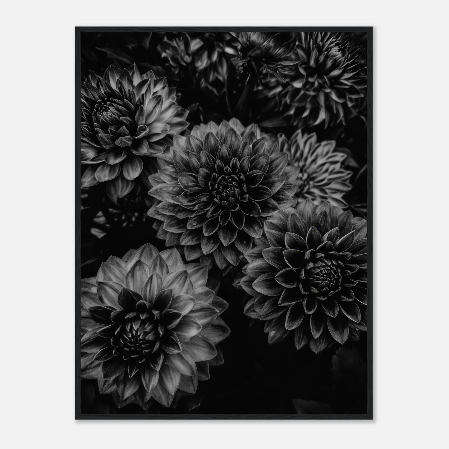 aa2fde6b-5335-4022-9ffb-1a82a12d9f82