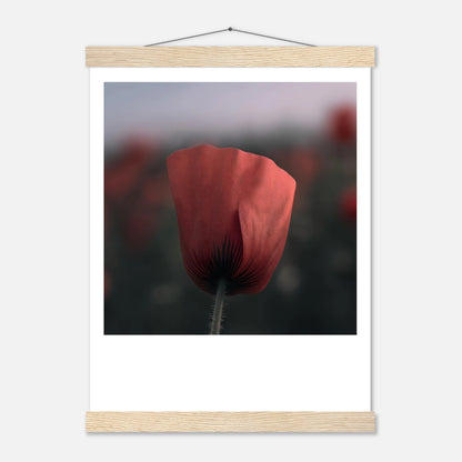 abed1904-c8e7-46b6-9dc8-c932c0e6d4e1