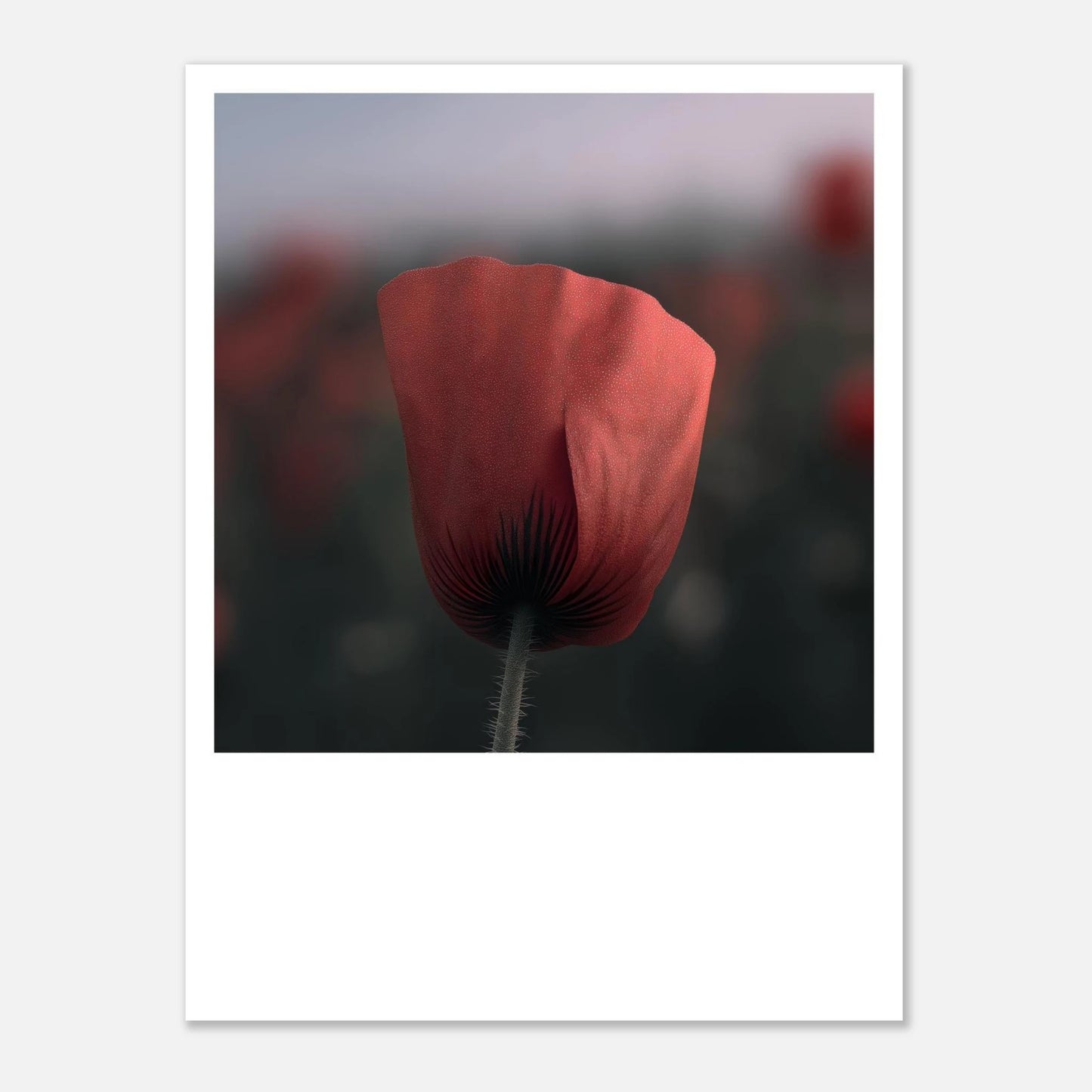 acafef0a-5192-4663-aa28-1fbd90d2e04e