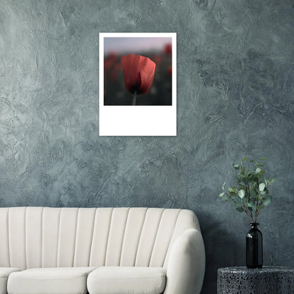 b76c8840-85a6-4982-8e20-79e104081e7e