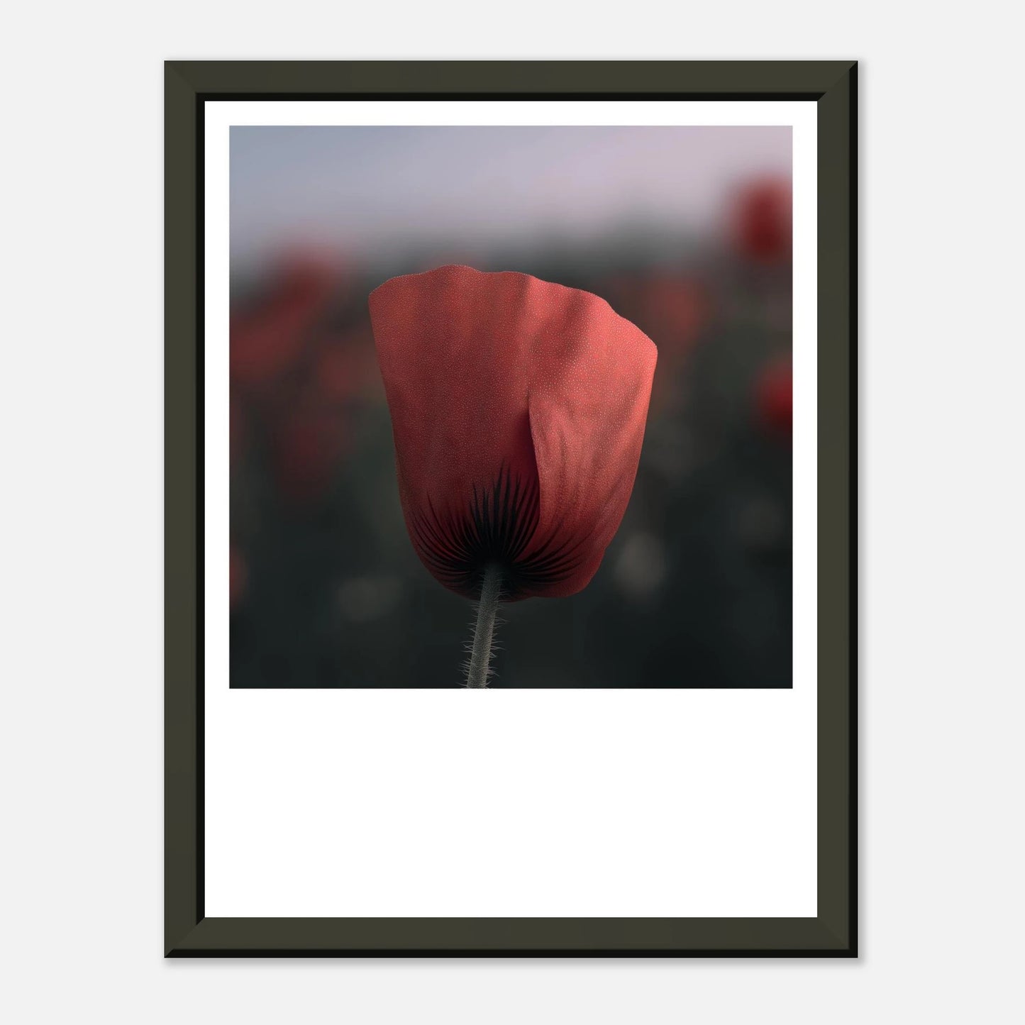 b8b914ec-546e-48c1-be0b-226fd263ea95