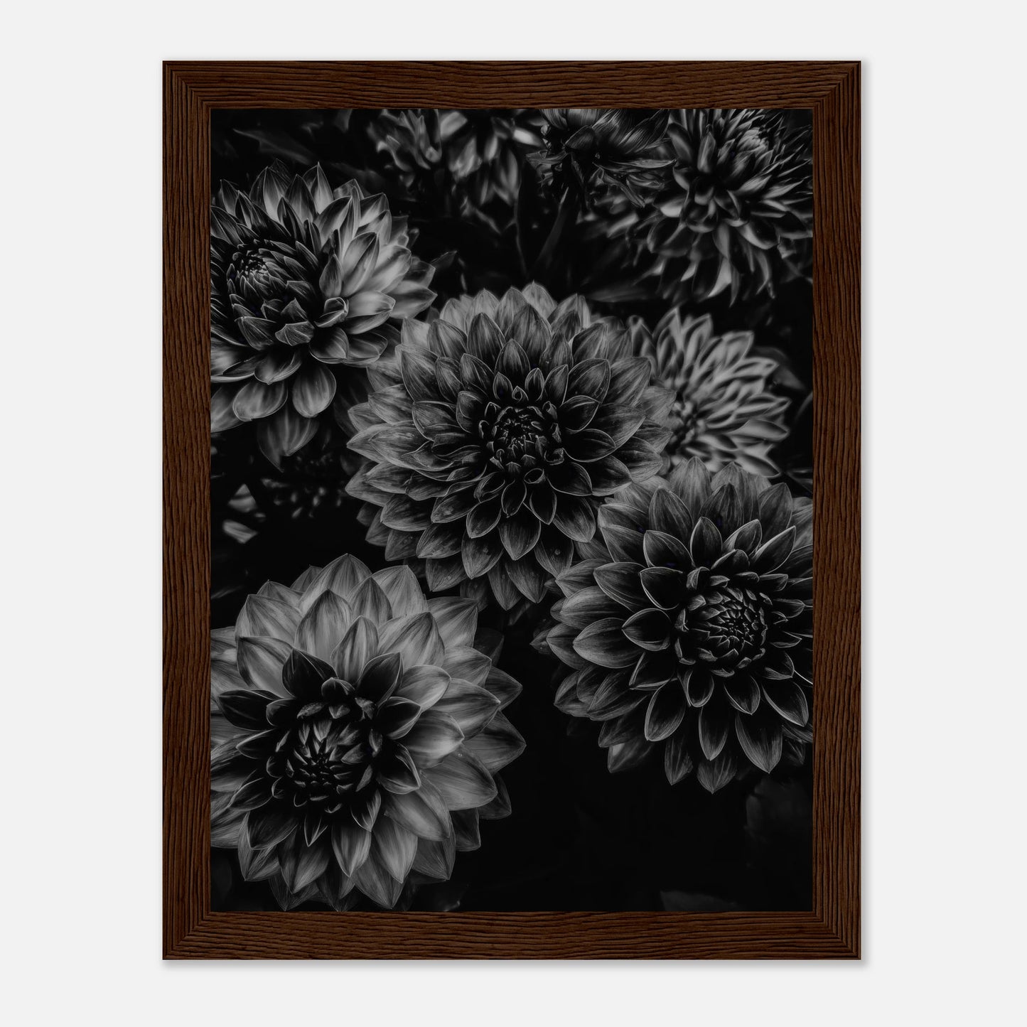 b9c551b9-806a-4672-ae76-14d5c2d23c74