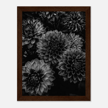 b9c551b9-806a-4672-ae76-14d5c2d23c74