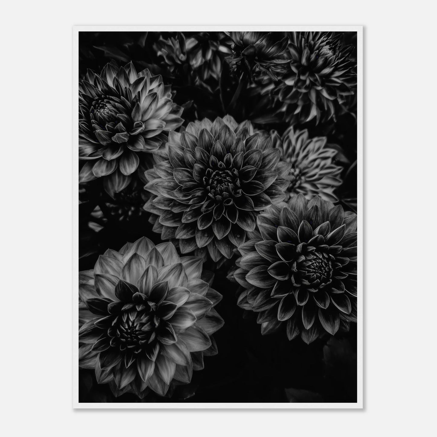 bc2783d2-97ec-4222-b761-f25a3c0bb7f8