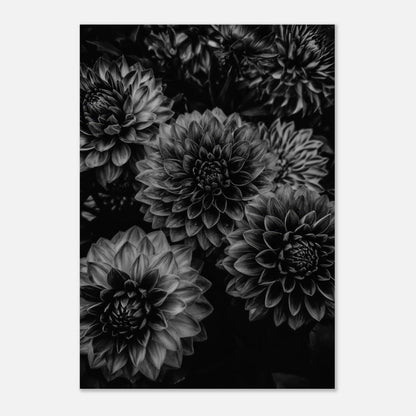 bd1ea509-9046-42a1-a1db-15ae43c958ef