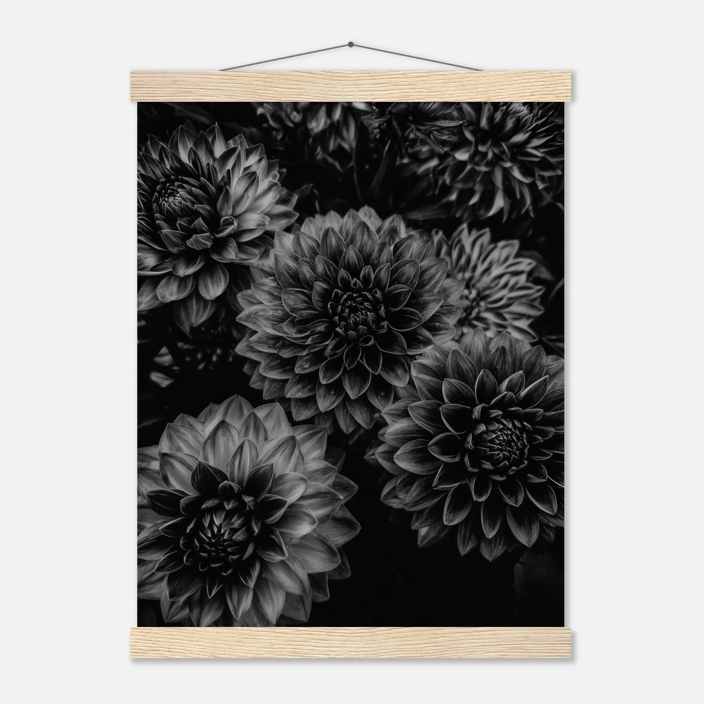 c0d823ea-9d94-41de-9696-b1450fac2d2b