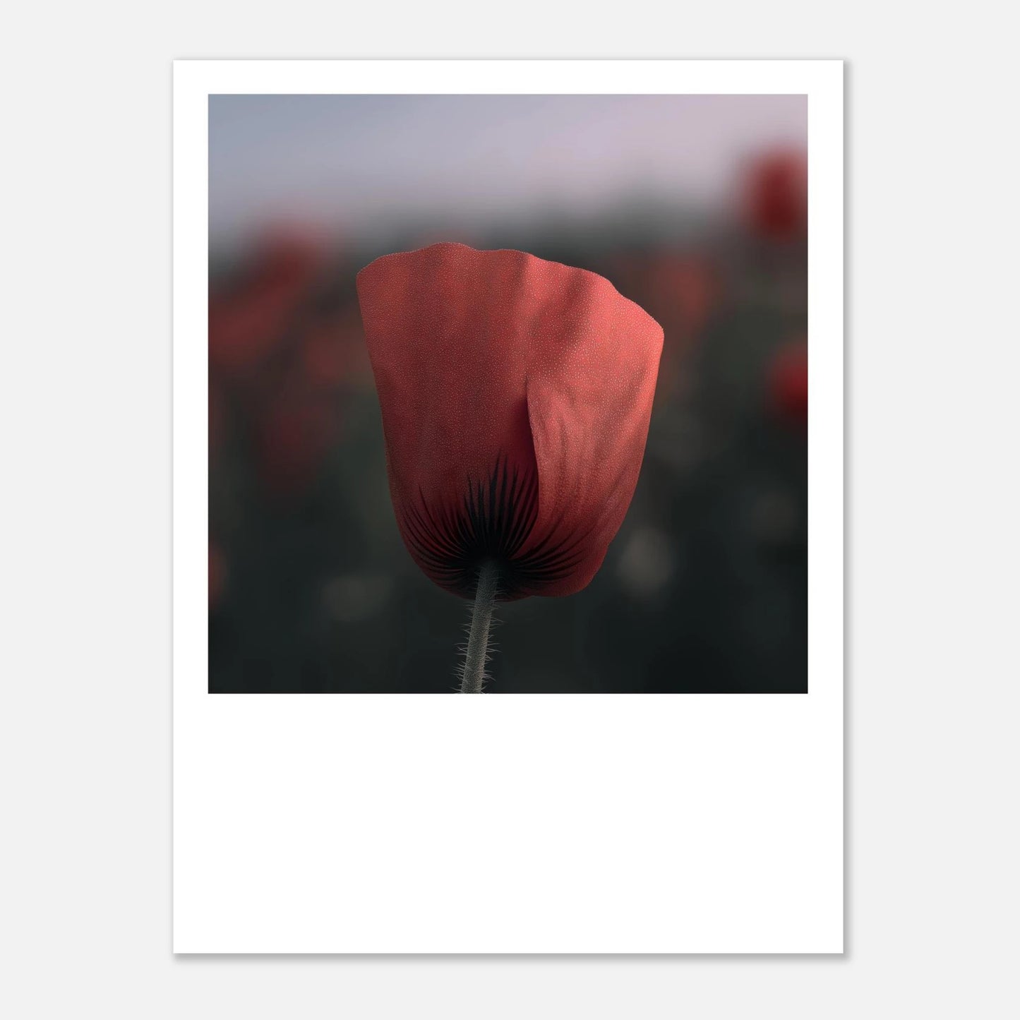 c8a45ff2-8d09-465c-bcf9-a02252b7d161