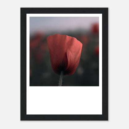 c8c6451b-f90d-42c5-8d3b-158bab5f917c