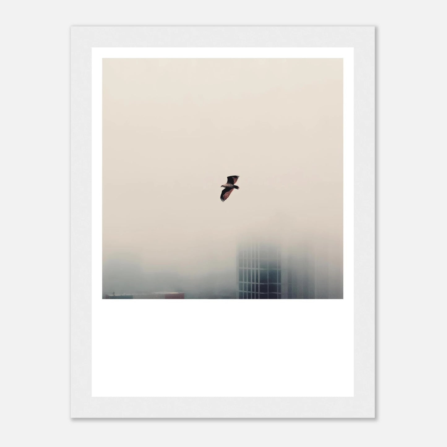 c8ce240f-11e0-4e12-812e-bd5e19773711