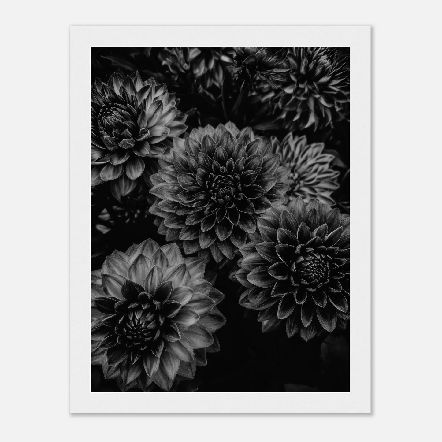 d18d703b-c99d-4ed7-ad26-6b3b5559bab7