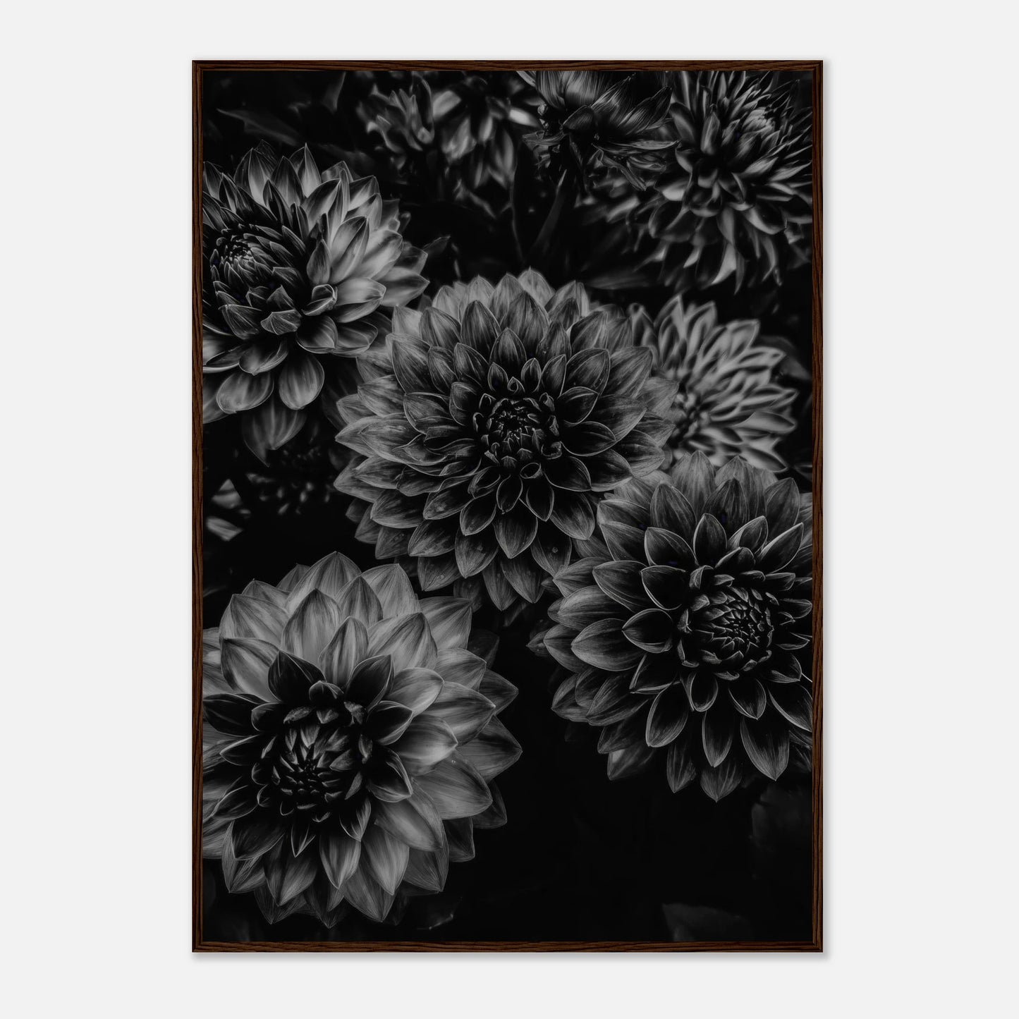 d47febbe-fe74-41ca-b54c-2223a1cb0123