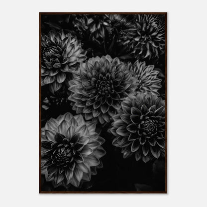 d47febbe-fe74-41ca-b54c-2223a1cb0123