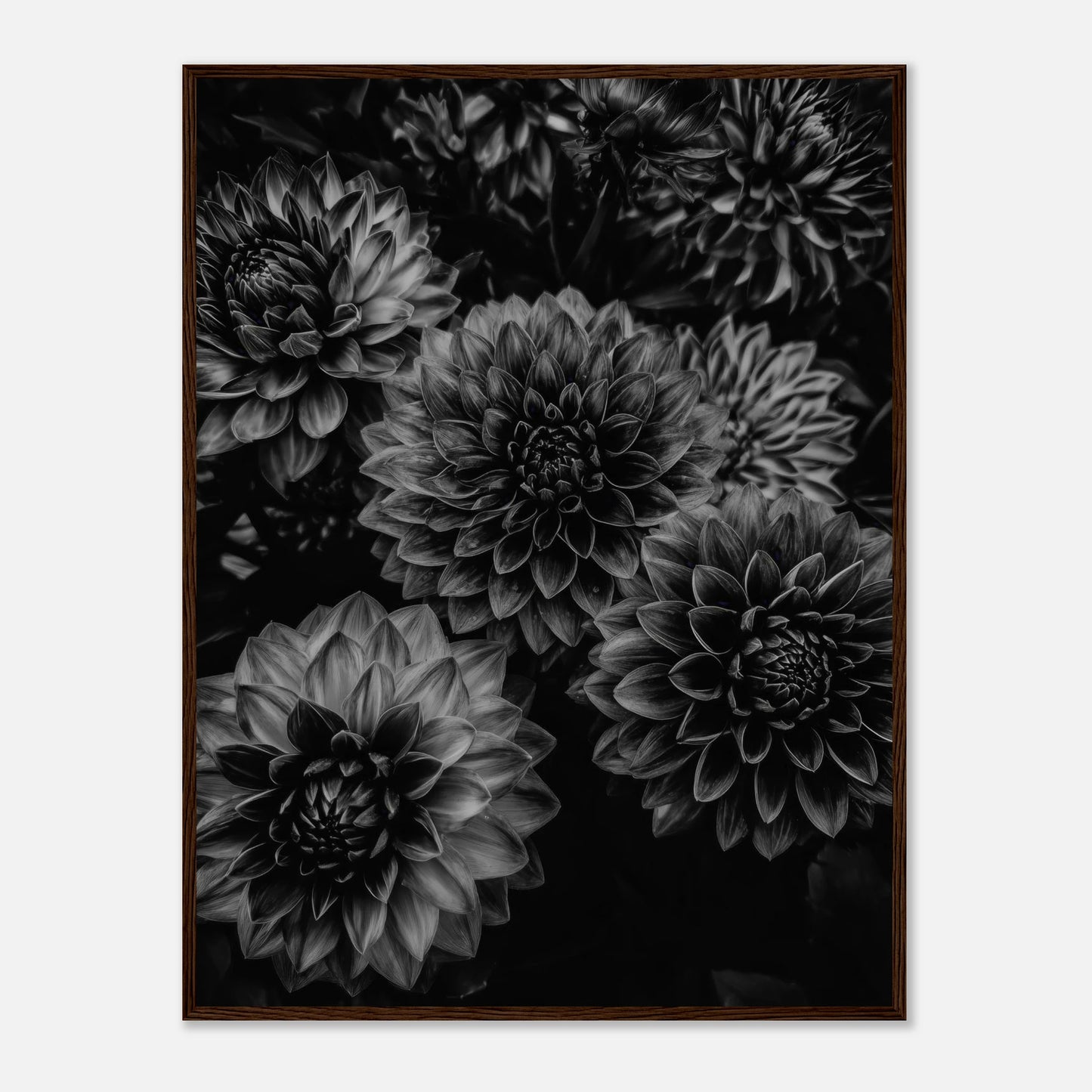 d4809d1b-58d1-40c5-b251-6e5b4d5d6eb6