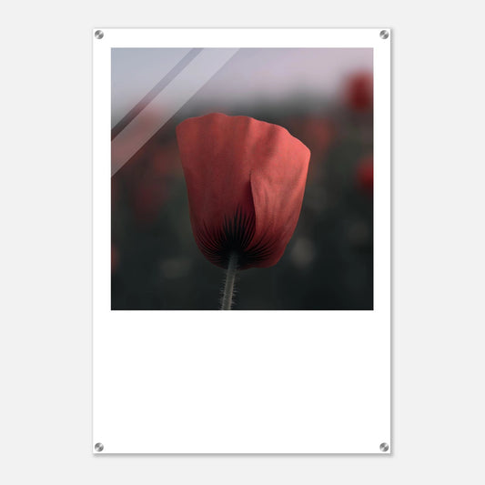 d7d51025-cdb1-4be2-9380-dd9da9f74d1f