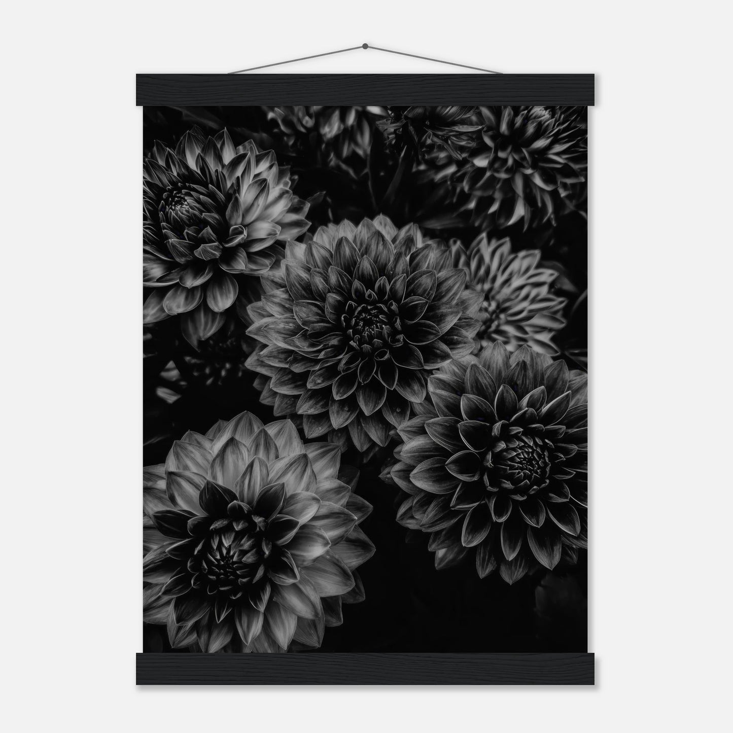 e49c9925-bfe6-4d41-b2fd-1d066fee706a