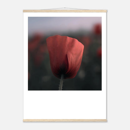 e6ca78e1-92ae-431e-92b4-f23d370e2d80