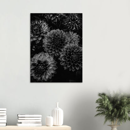 e8be003a-d6e4-4956-a353-64b21ab6d6db