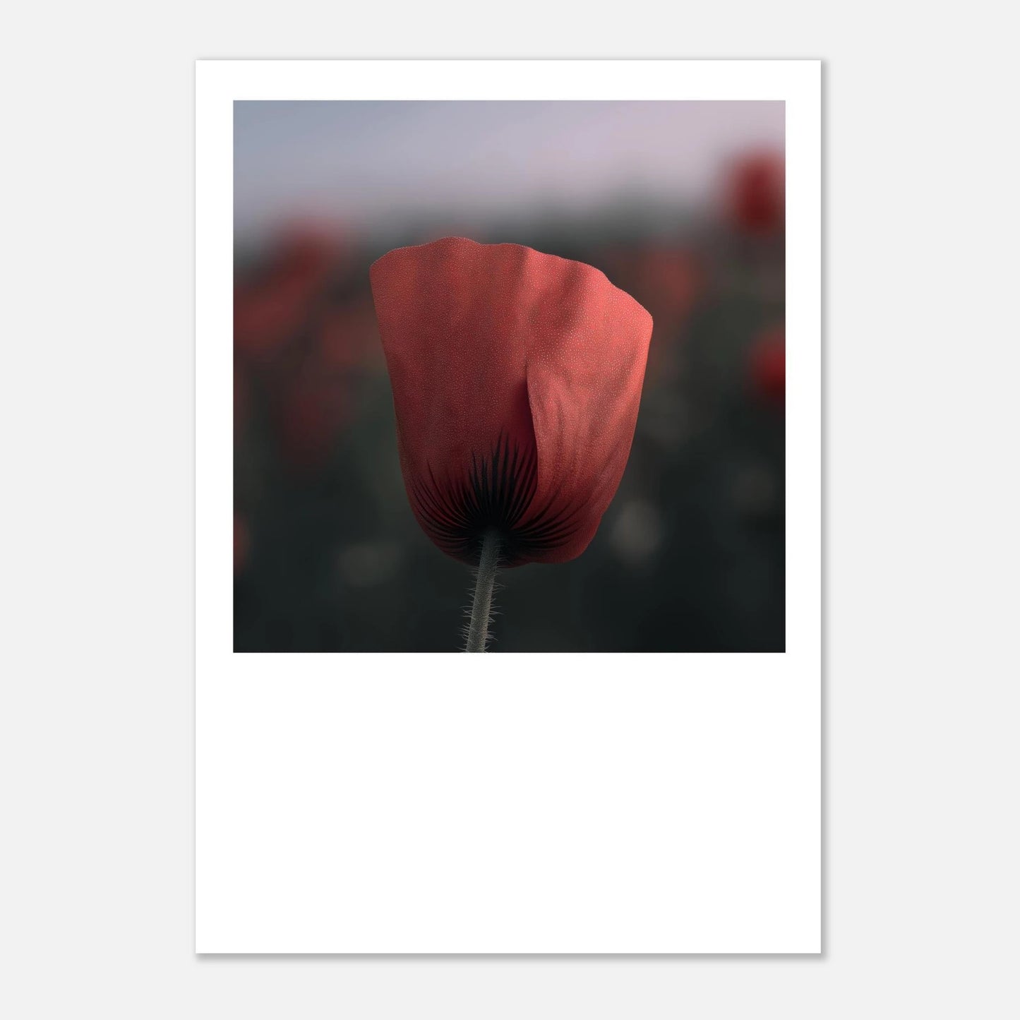 e99a4821-da2d-4398-a77b-c6aa4d67d8ad