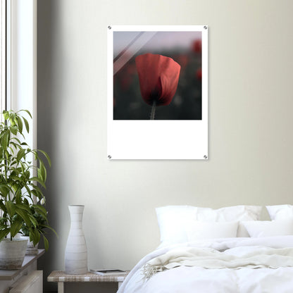 e9d91c42-8165-47e9-8fd4-13945b7cca4e