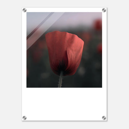 ef5a156a-dbbf-4b9c-ae3c-5c5be2f8c427