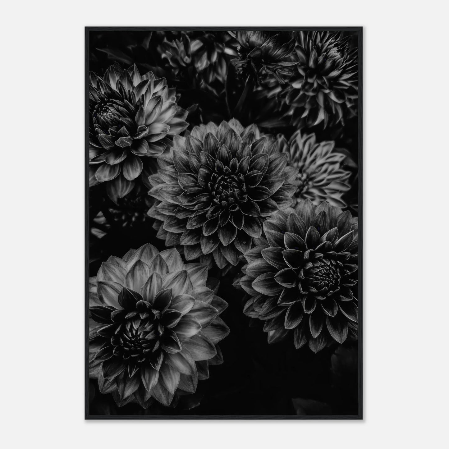 fad43a72-01f0-4740-9eaf-95bc8489fe7f