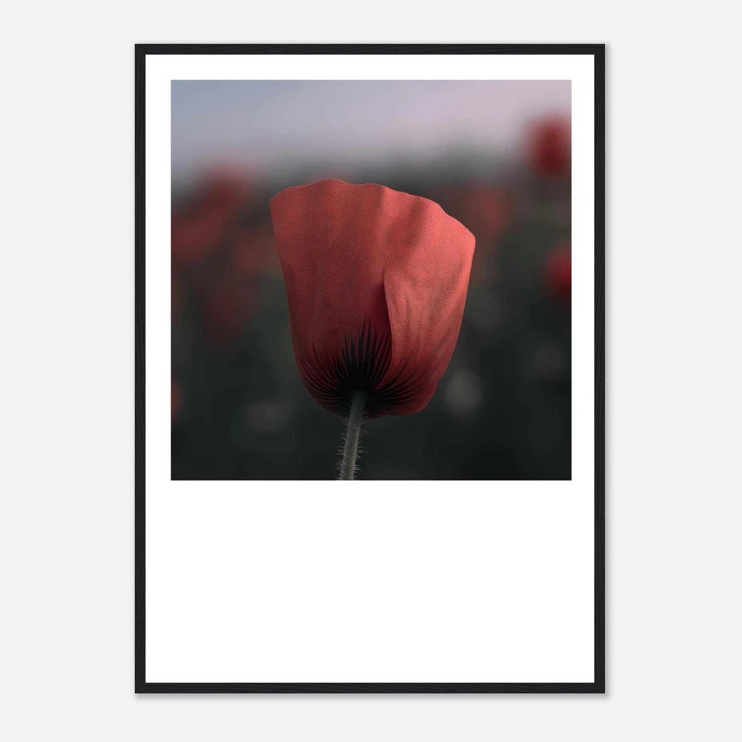 fc831a24-4529-4cb5-bfed-5dc97cb63a91