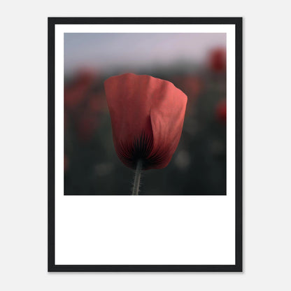 fcdf72a1-28bd-4185-b8b3-9d8f848c9a3d