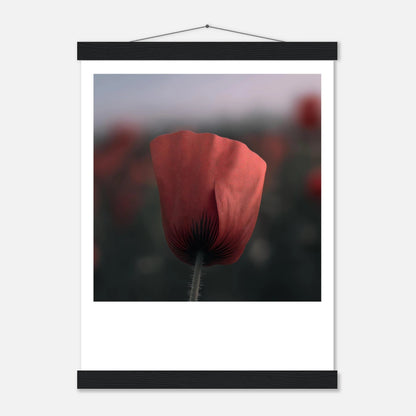 fe7ec922-ed6f-499c-931c-4b45673f94be