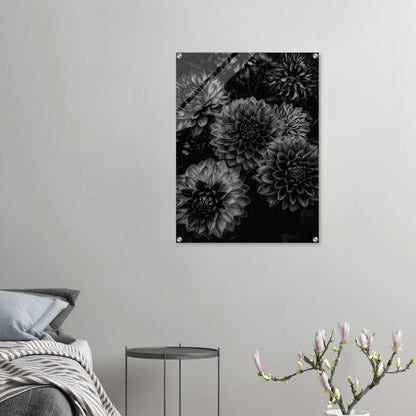 feb19fba-287c-42ec-b287-027f46fdccef